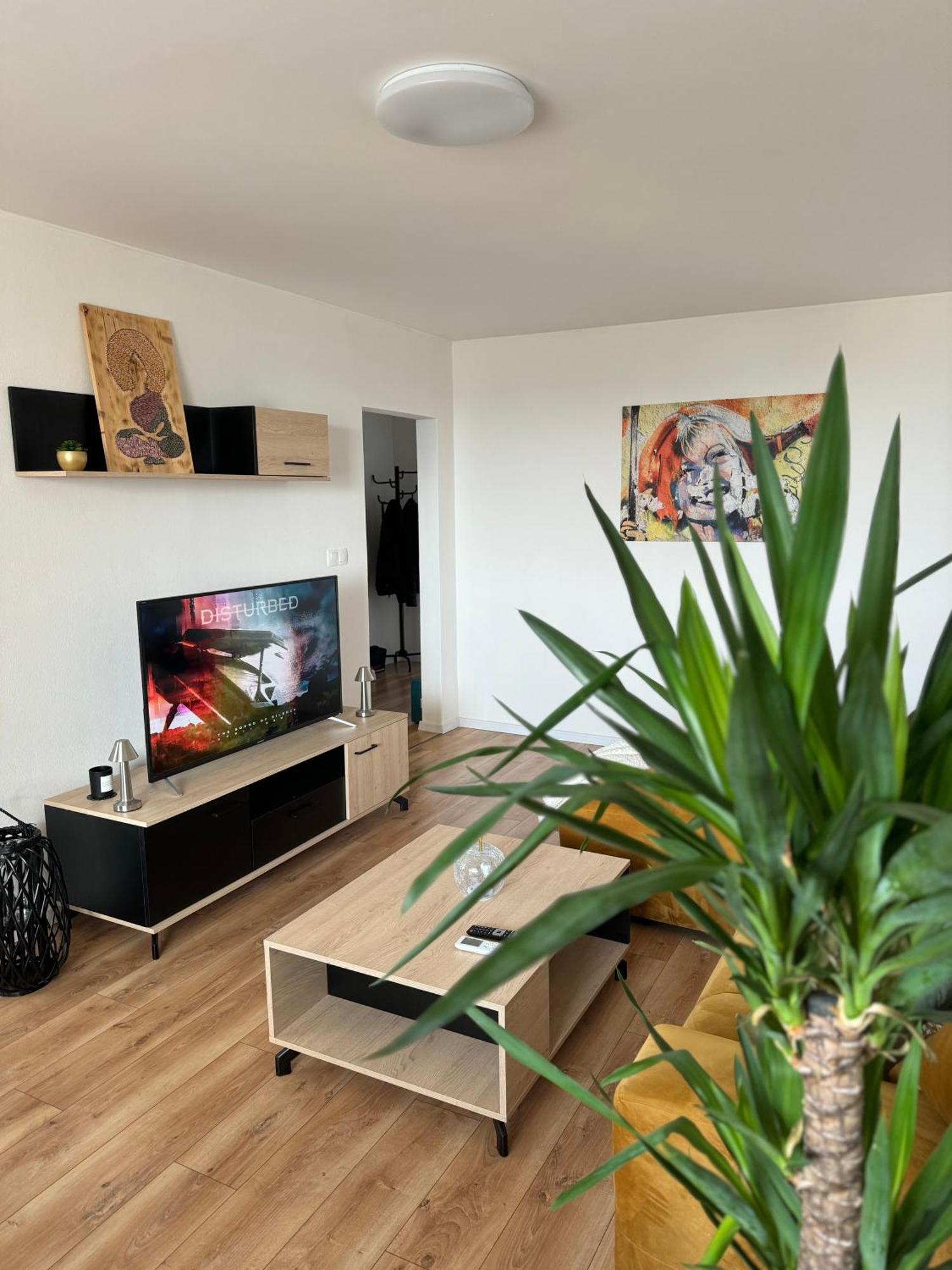 Modern Central Apartment ニトラ エクステリア 写真